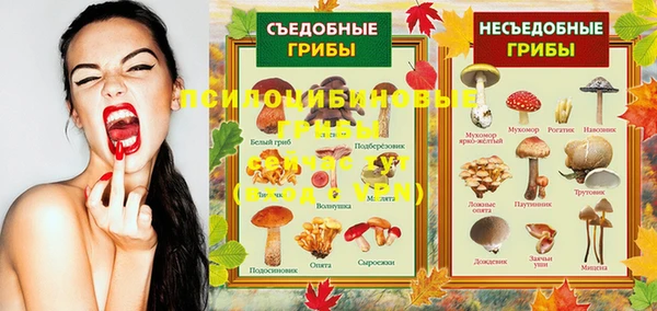 MDMA Premium VHQ Мегион