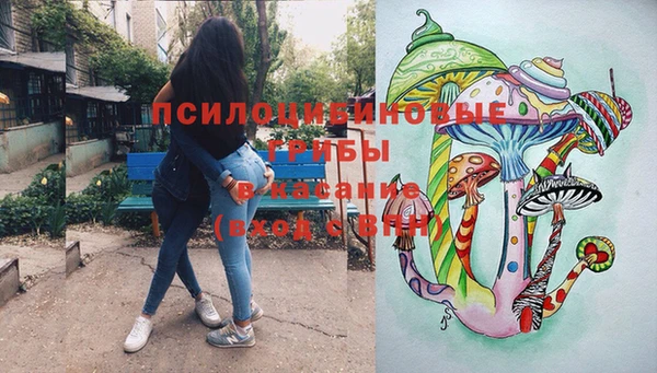 apvp Магадан