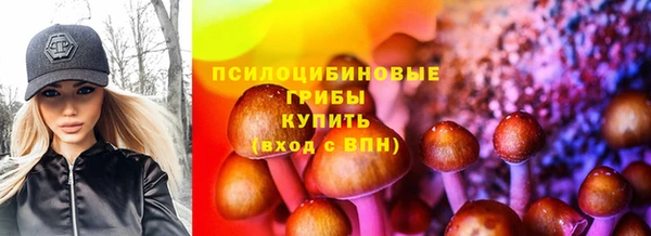 а пвп мука Медвежьегорск