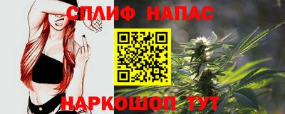 прущие грибы Волгодонск