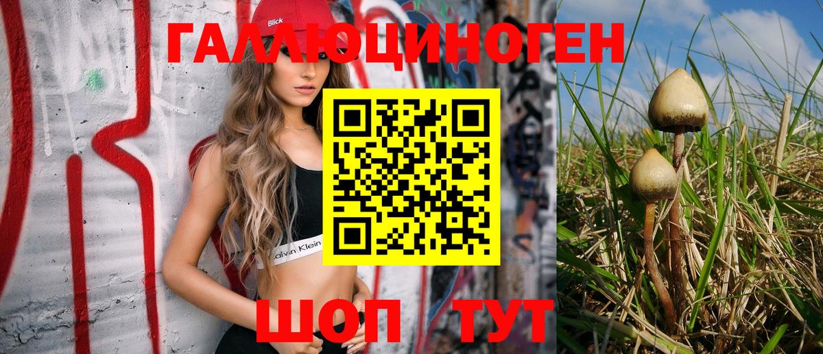 Псилоцибиновые грибы Magic Shrooms Ишим