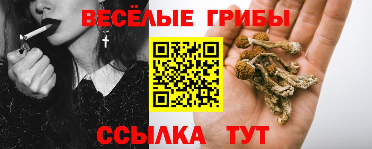 Псилоцибиновые грибы ЛСД  Вход с VPN  Ишим 